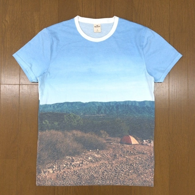 HOLLISTER ホリスター プリント Tシャツ S 半袖 カットソー 国内正規品 メンズ_画像1