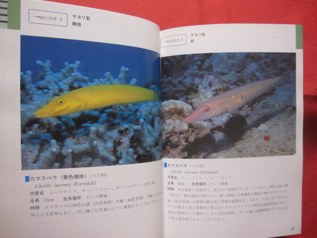 ふるさと割】 沖縄海中生物図鑑 全巻 11冊 セット asakusa.sub.jp