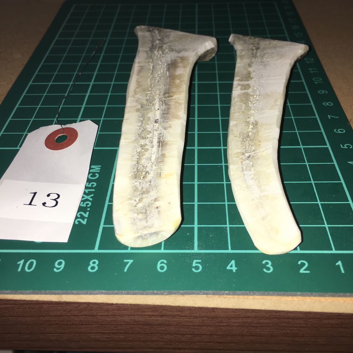 Paypayフリマ 鹿の角 鹿角 犬おもちゃ トイプードル用鹿の角 Paypayフリマ 鹿の角 鹿角 犬おもちゃ トイプードル用鹿の角