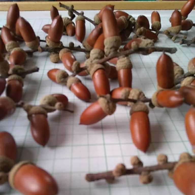 item_image_9