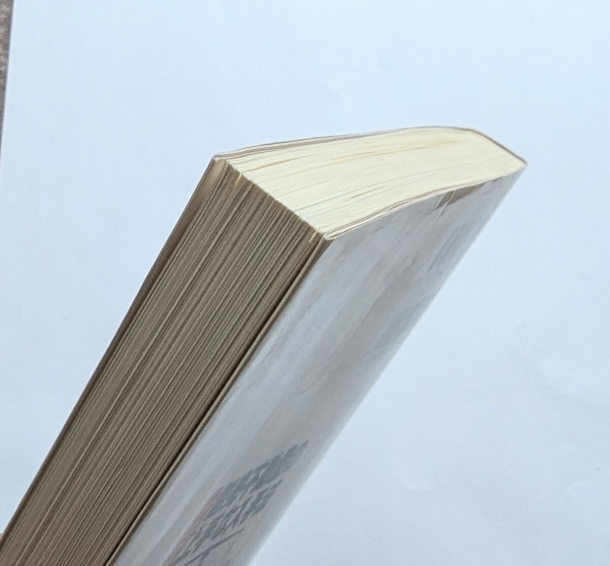 ■プロが教える競売不動産の上手な入手法　山田純男　戸田浩介■99-1031_画像2