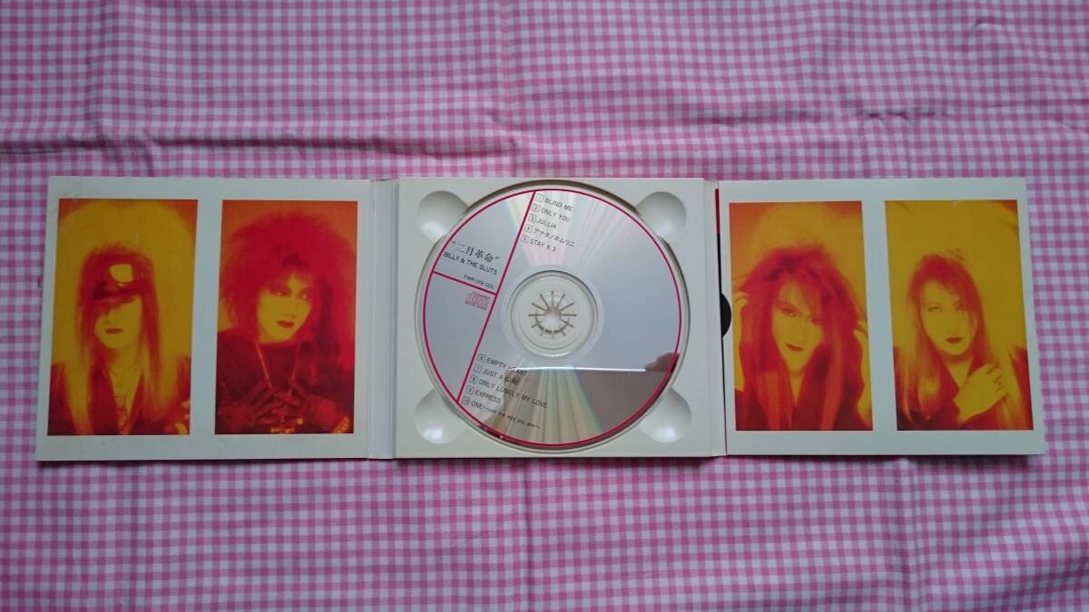 【アルバムCD】二月革命 / BILLY & SLUTS_画像3
