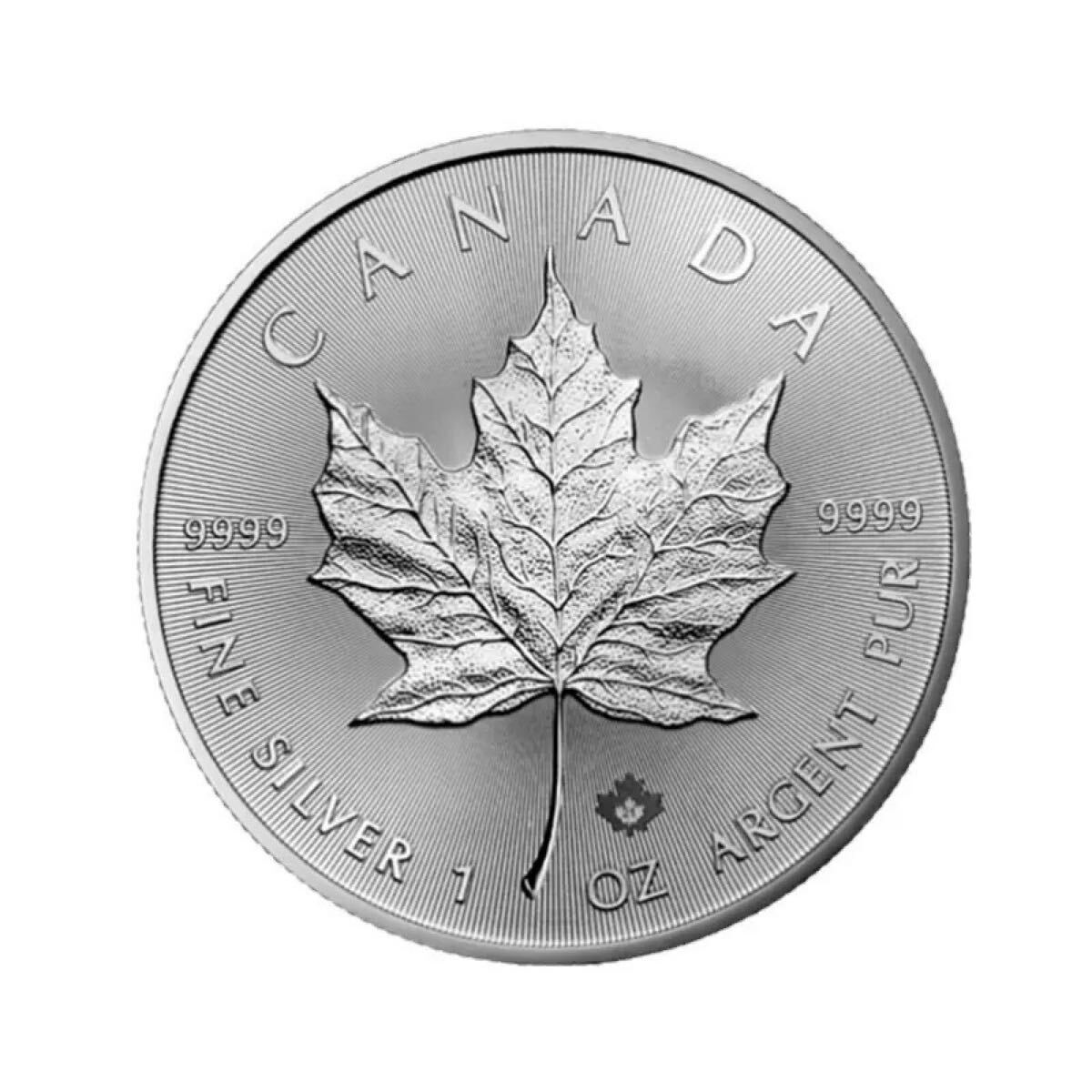 極美品 2021年 エリザベス2世 メイプル コレクション 外貨硬貨 記念硬貨 海外コイン 大型銀貨 記念メタル ケース付き 収蔵品 1オンス 5ドル_画像4