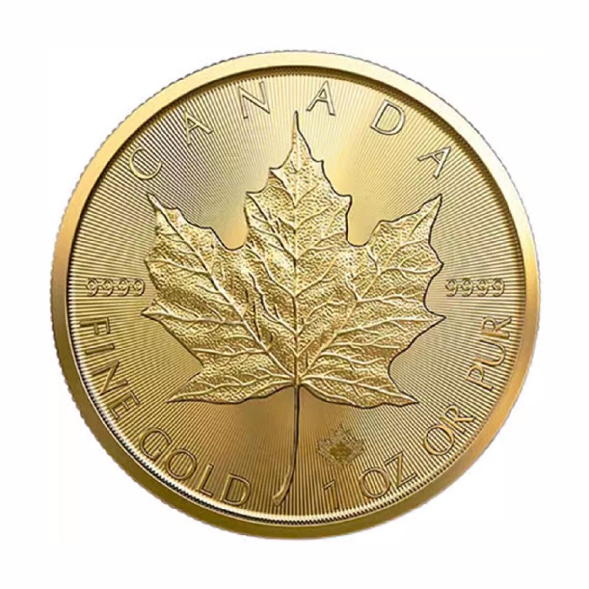 2015年カナダメイプル エリザベス2世 コレクション 外貨硬貨 40mm 記念硬貨 海外コイン 金貨 大型金貨 記念メタル ケース付き 蔵品 50ドル_画像9