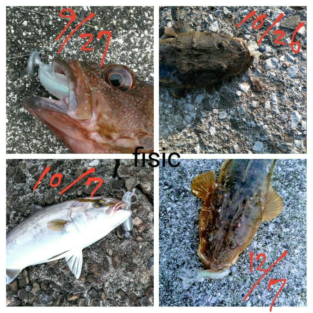 とれたて新鮮！イカワーム10杯+ダートジグヘッド21g、14g各2本セット_画像5