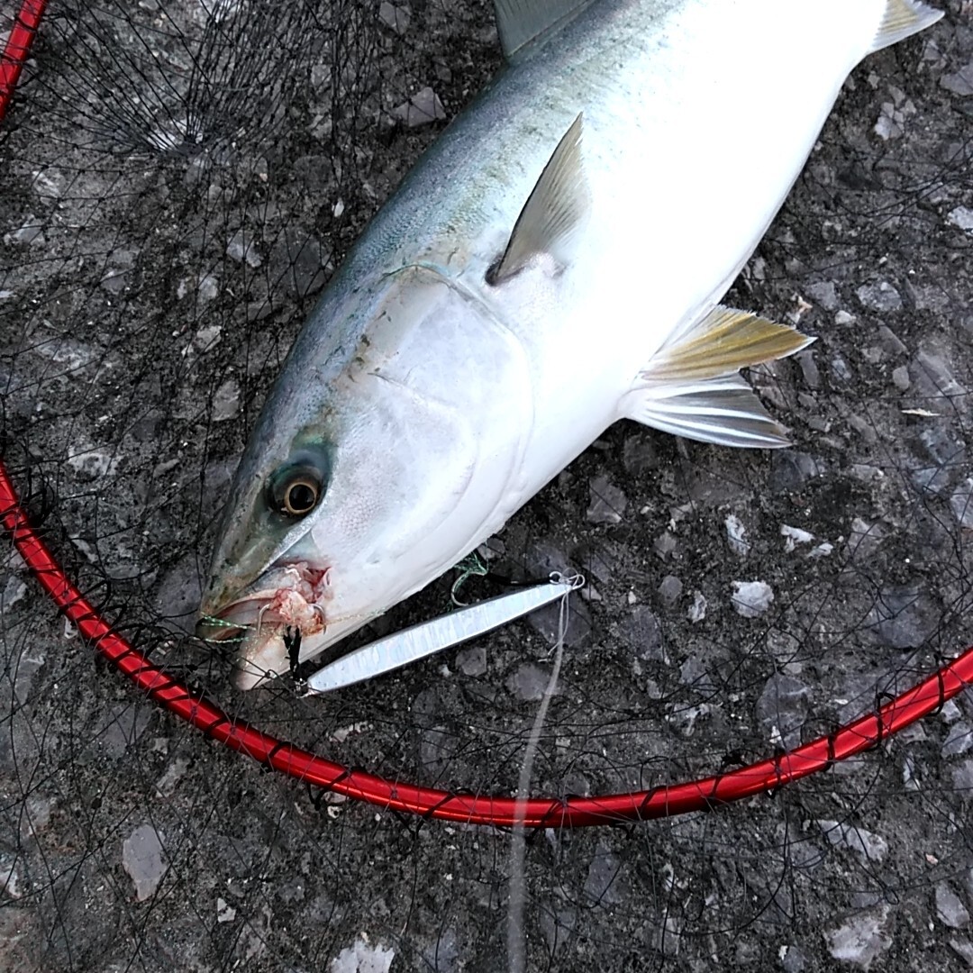 メタルジグ60g 5本 細身ロングジグ スロブラL60v5 ジグ本体のみ_画像9