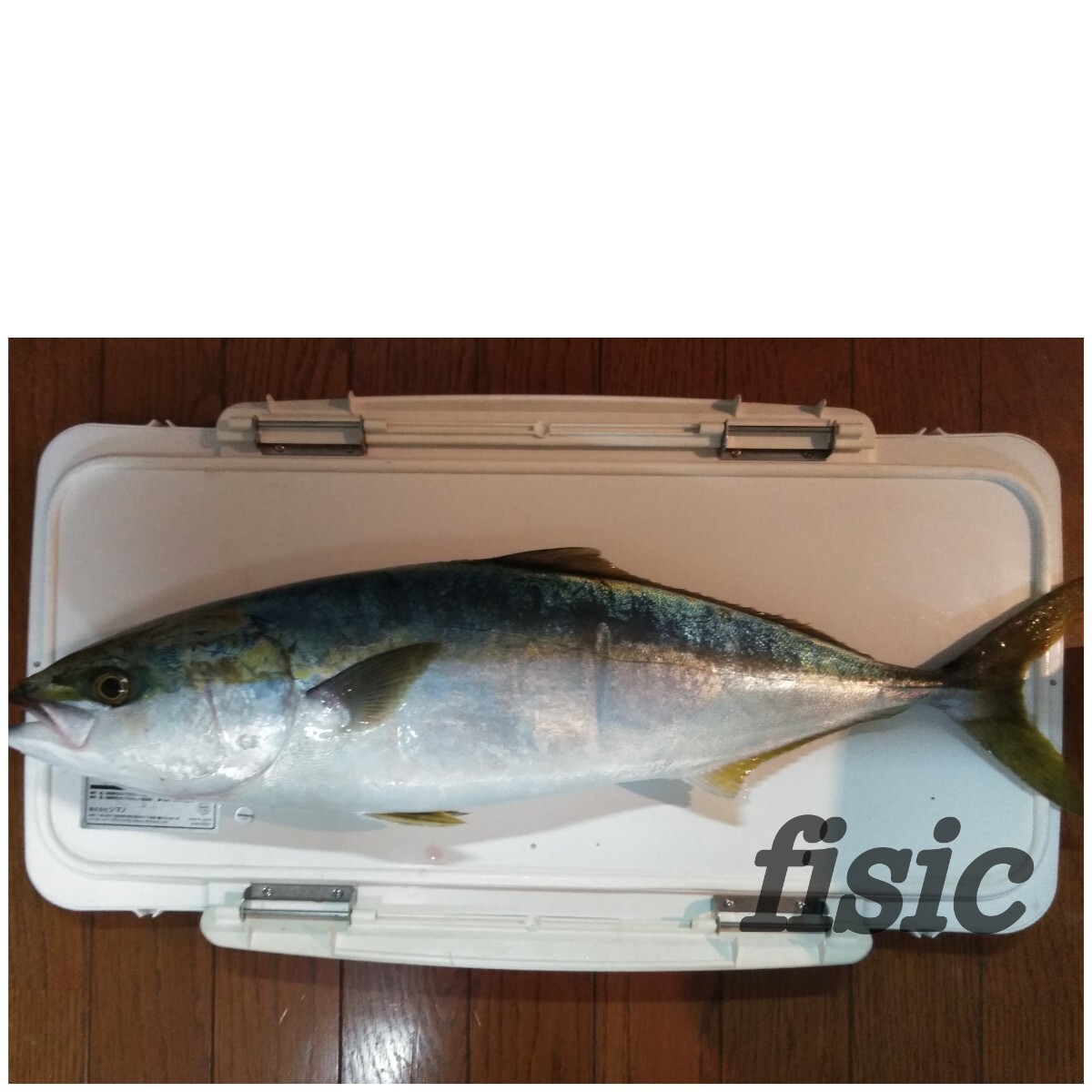 メタルジグ60g 5本 細身ロングジグ スロブラL60v5 ジグ本体のみ_画像8