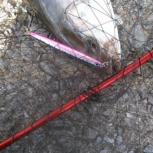 メタルジグ60g 5本 細身ロングジグ スロブラL60v5 ジグ本体のみ_画像10