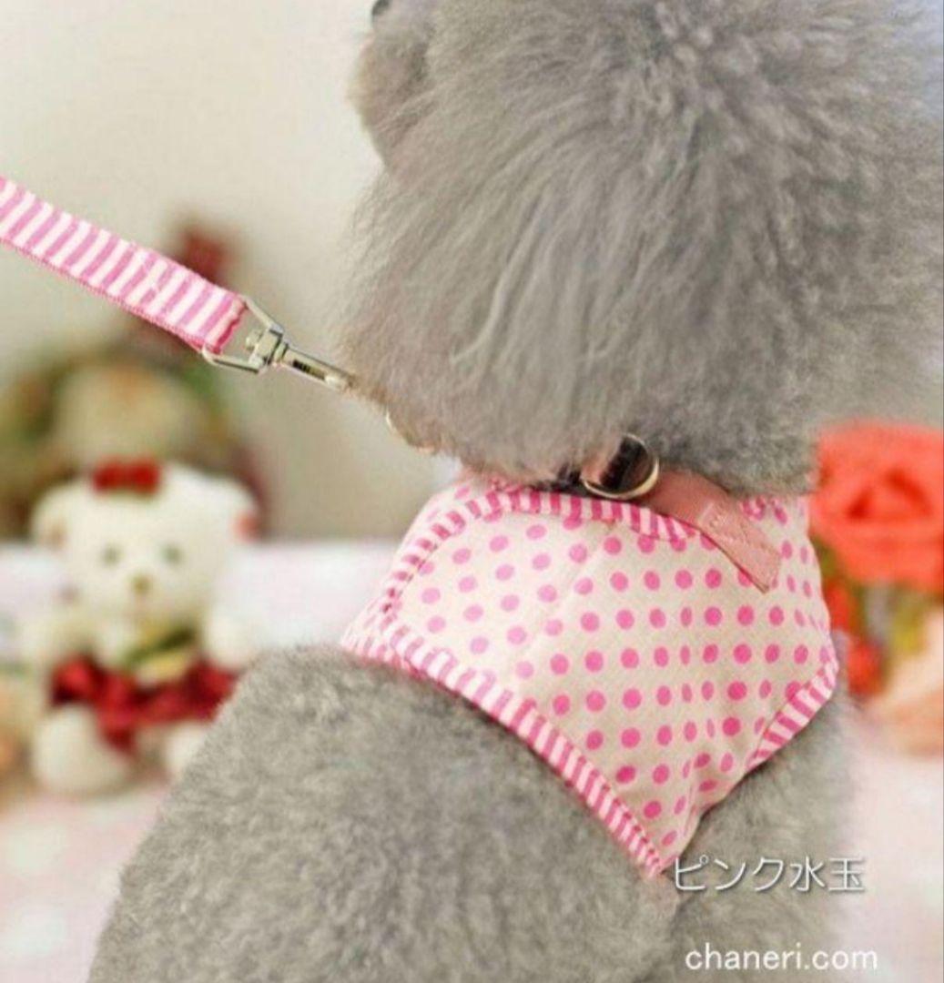 [ новый товар ] собака для шлейка с поводком Cute. полька-дот. Harness & Lead чихуахуа пудель pome line приятный прогулка путешествие модный шлейка Lead розовый [M]