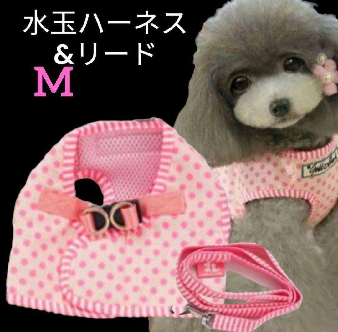 [ новый товар ] собака для шлейка с поводком Cute. полька-дот. Harness & Lead чихуахуа пудель pome line приятный прогулка путешествие модный шлейка Lead розовый [M]
