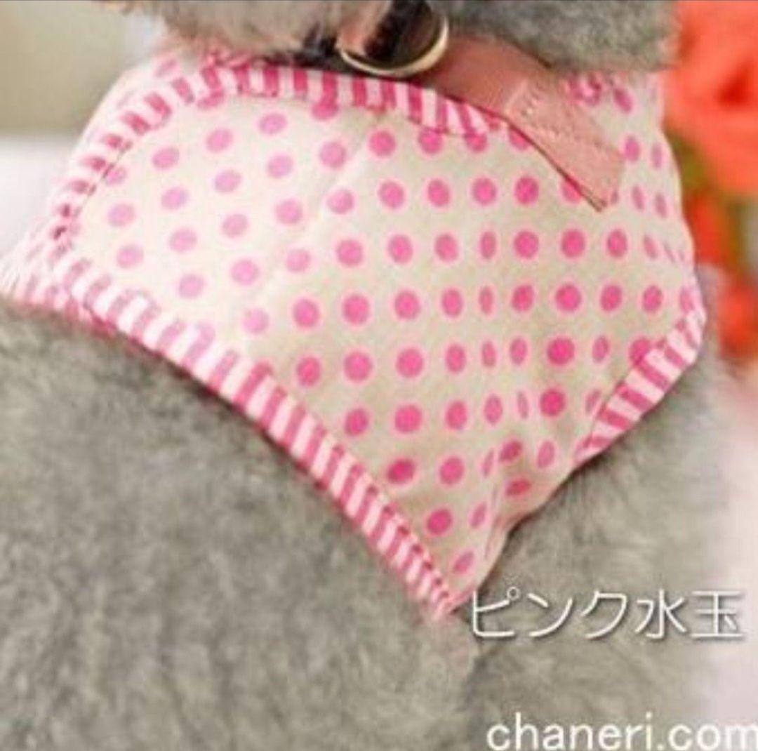 [ новый товар ] собака для шлейка с поводком Cute. полька-дот. Harness & Lead чихуахуа пудель pome line приятный прогулка путешествие модный шлейка Lead розовый [M]