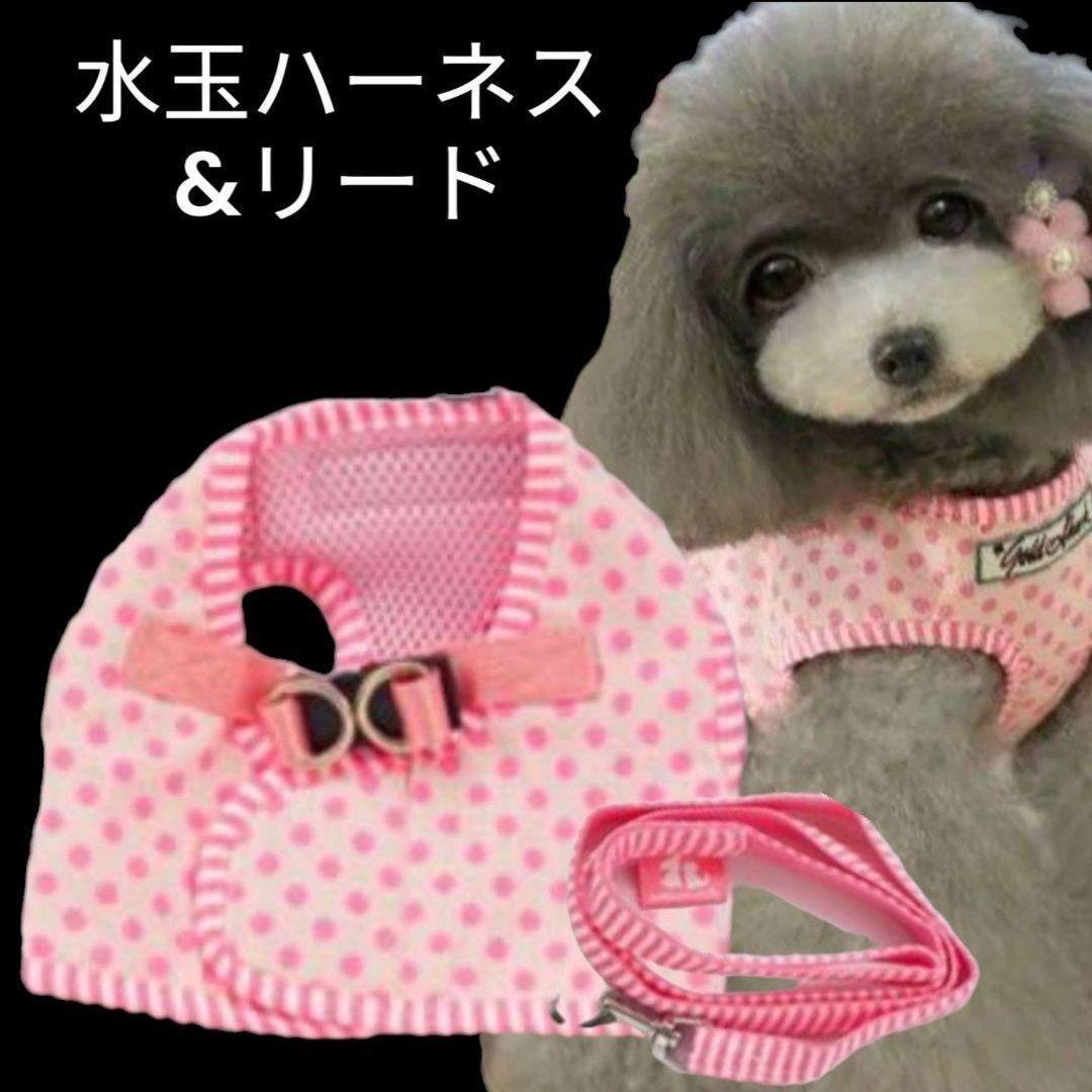 [ новый товар ] собака для шлейка с поводком Cute. полька-дот. Harness & Lead чихуахуа пудель pome line приятный прогулка путешествие модный шлейка Lead розовый [M]
