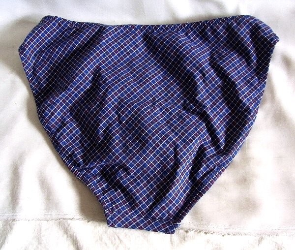 ★☆大きい 紺赤白チェック柄ビキニ水着ハイレグショーツ☆★_画像2