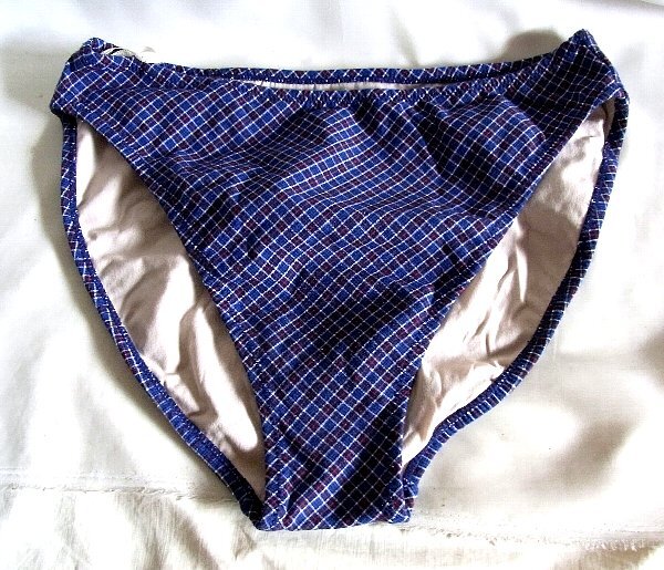 ★☆大きい 紺赤白チェック柄ビキニ水着ハイレグショーツ☆★_画像1