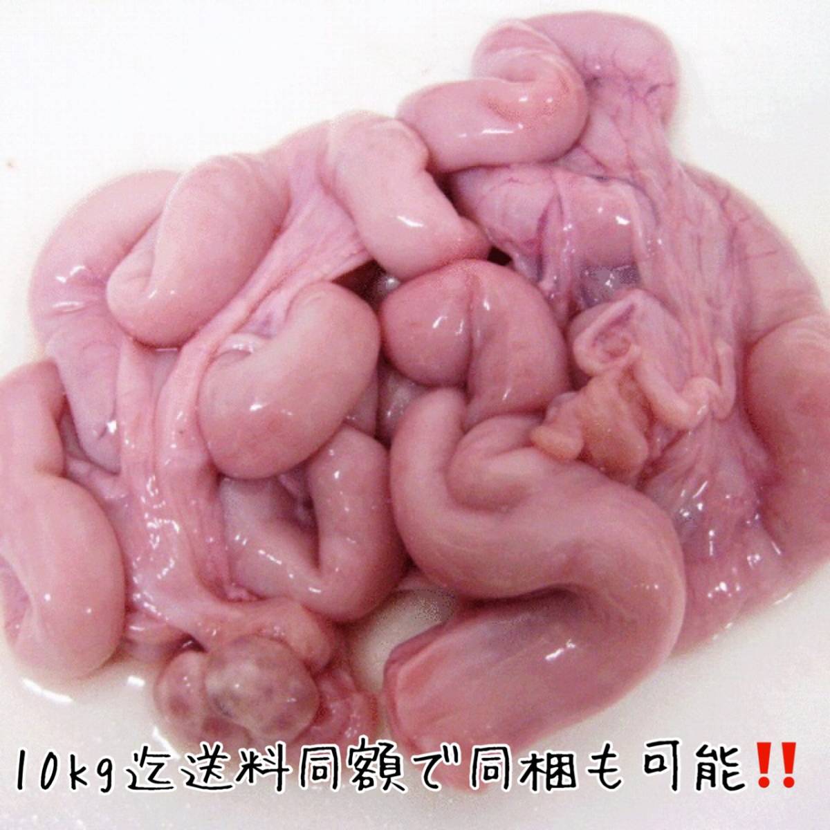 屠場仕入れ!北海道産 豚ホルモン 子袋 (コブクロ 500g)珍品!!冷蔵!!低カロリーで希少部位 仔袋 新鮮なブタの子袋 子宮 こぶくろ 同梱可_画像1