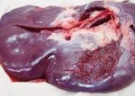 新鮮・安心・安全・信頼の北海道産 即決! 鮮度抜群!! 新鮮!!「北海道産、牛レバー 10kg」甘くて、美味しい 北海道 国産 チルドもあります_画像3