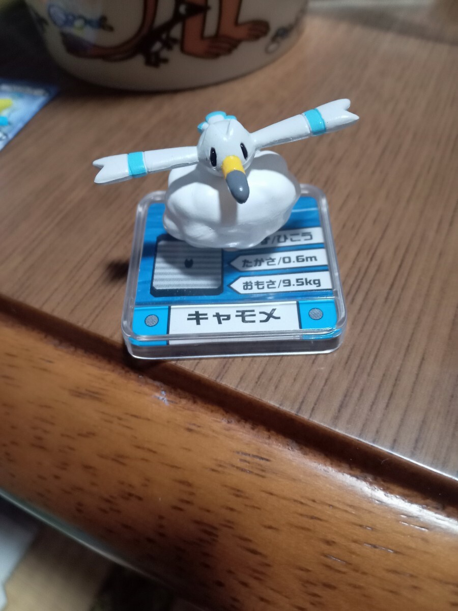 ポケモン　フルカラーアドバンス　08　キャモメ_画像1