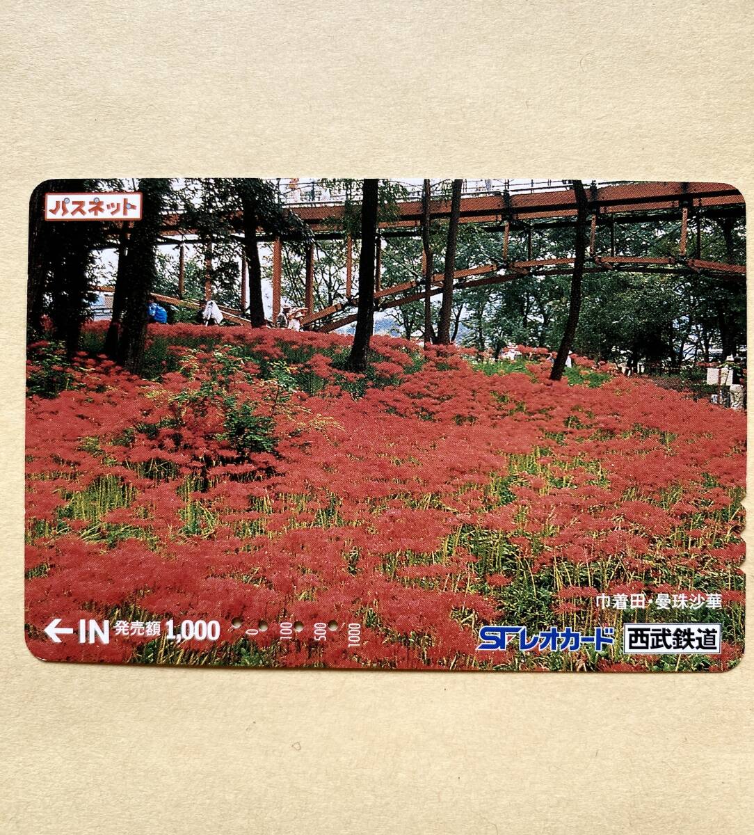 【使用済】 花パスネット 西武鉄道 巾著田?曼珠沙華