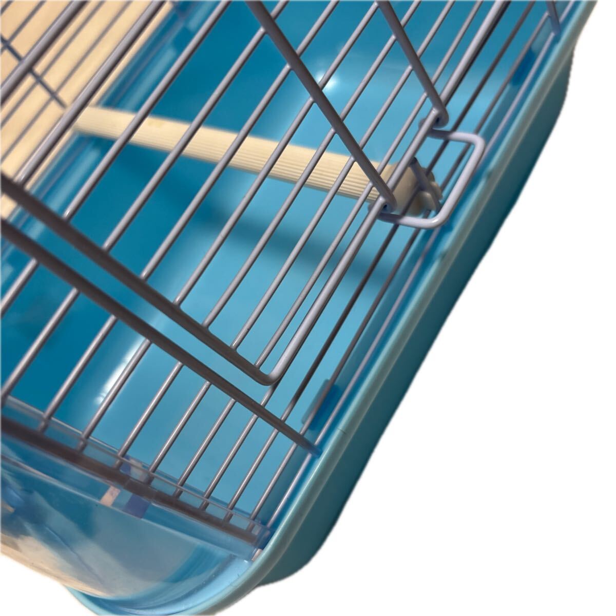  птица . птица корзина клетка для птиц товары для домашних животных голубой клетка маленькая птица 