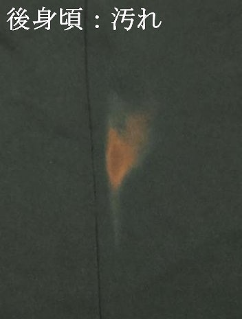 平和屋着物■豪華黒留袖　刺繍　鳳凰松文　金銀彩　正絹　逸品　DAAO0998xg_画像8