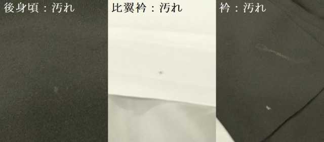 平和屋着物■豪華黒留袖　作家物　駒刺繍　エ霞鳳凰花丸文　金彩　正絹　逸品　DAAR6027ma_画像9