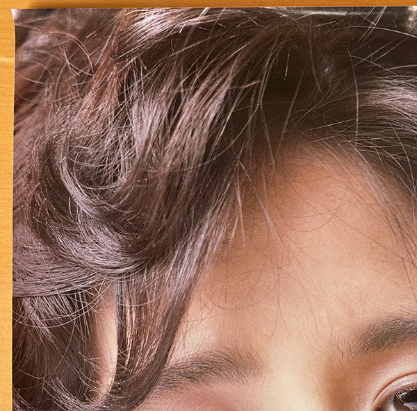 Sugiura Miyuki |B3 постер цветок такой как