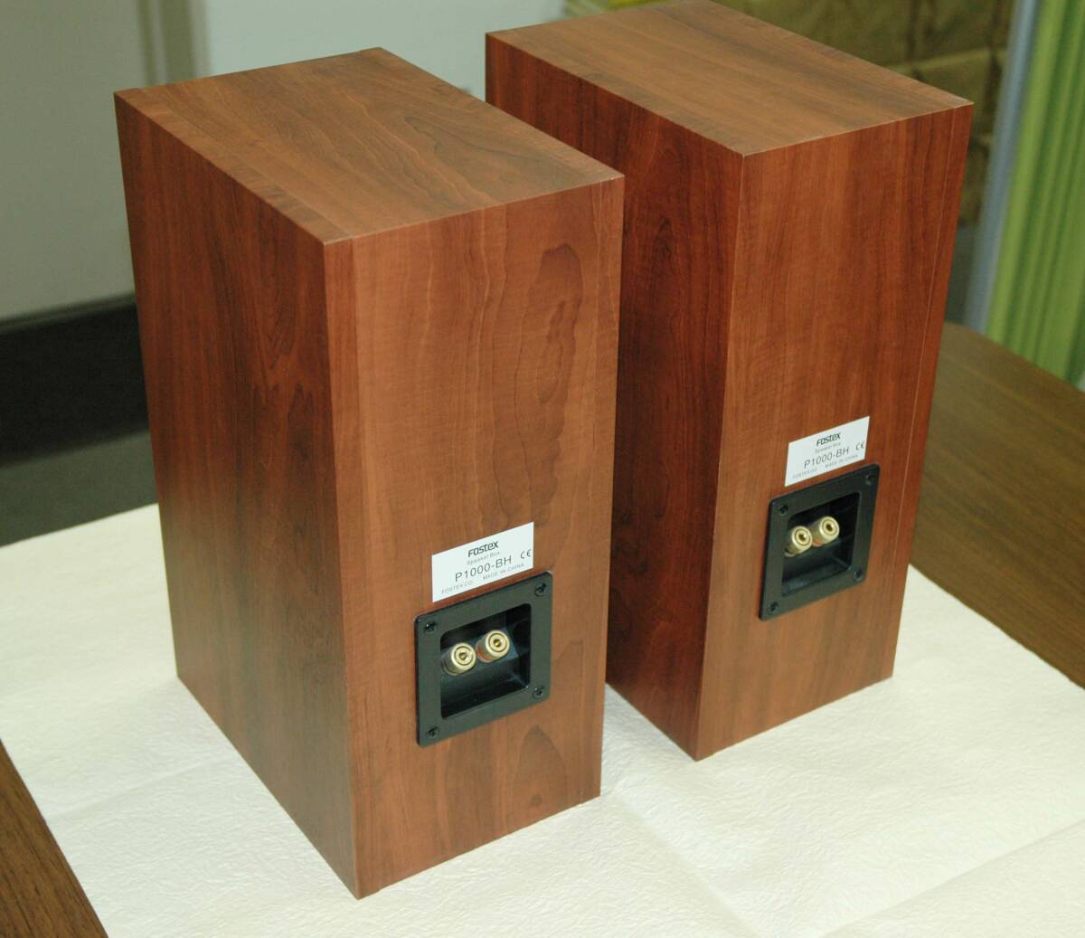 Fostex BACK-LOADED HORN P1000-BH とFE103En（8Ω）のセット_画像2