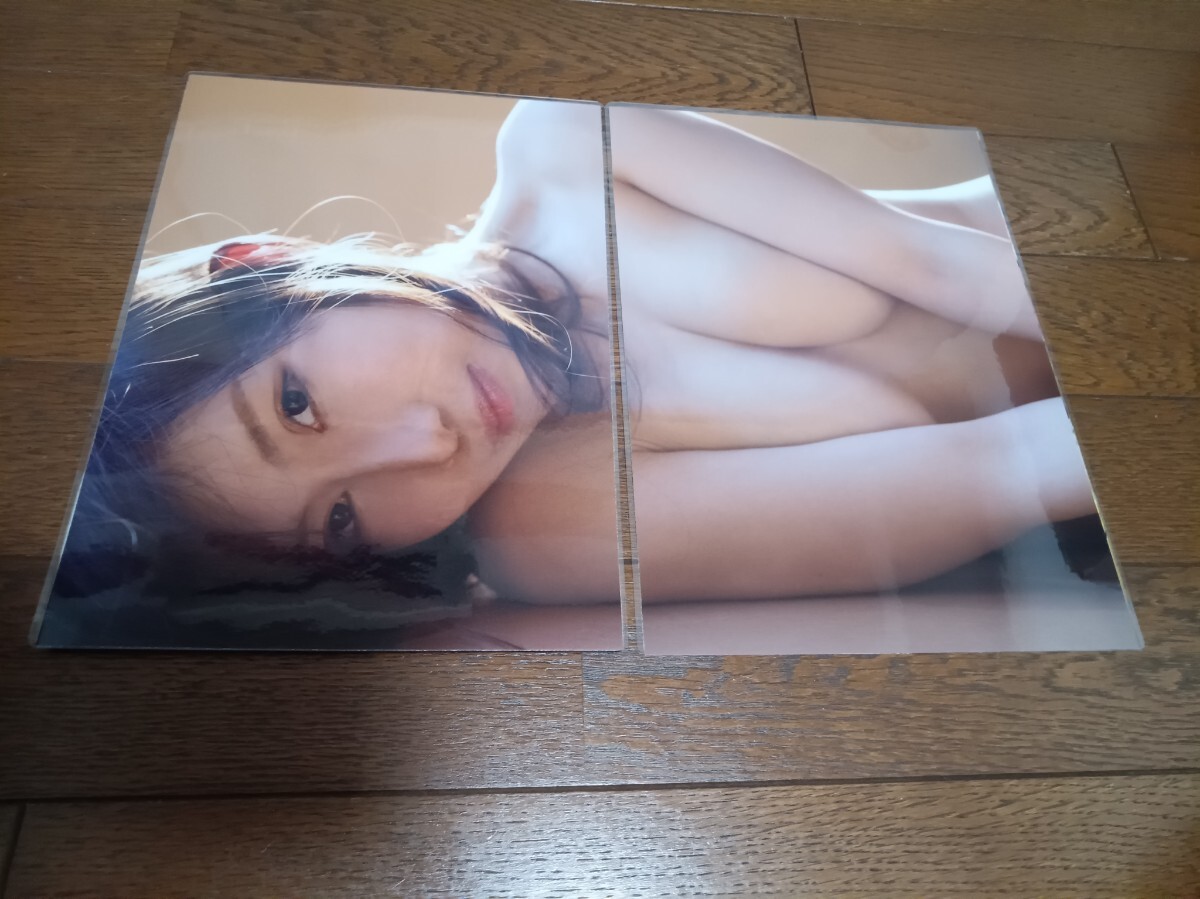 ★厚手ラミネート加工 150μ 切り抜き★ 琴井ありさ 8ページ ランジェリー 裸身 B5サイズ_画像2