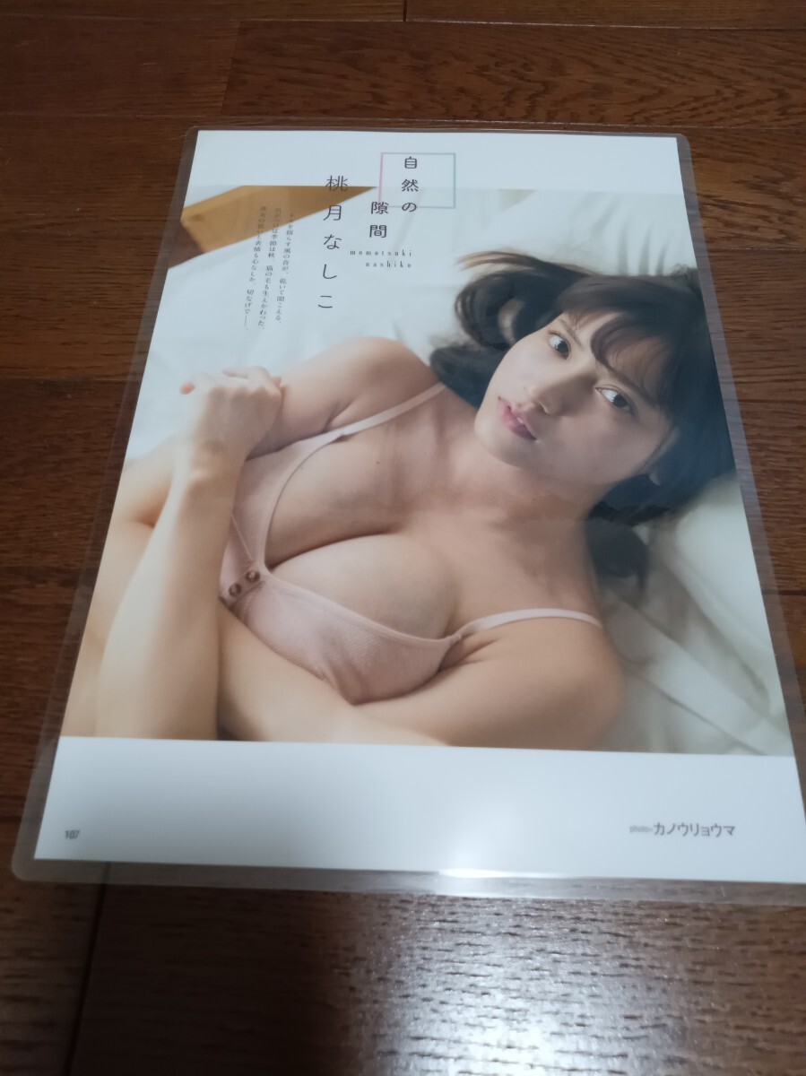 ★厚手ラミネート加工 150μ 切り抜き★ 桃月なしこ 8ページ ランジェリー 下着姿 A4サイズ_画像7