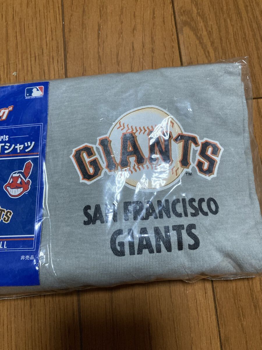 【非売品】KIRIN メジャーリーグTシャツ　ジャイアンツ　　グレー　フリーサイズ_画像3