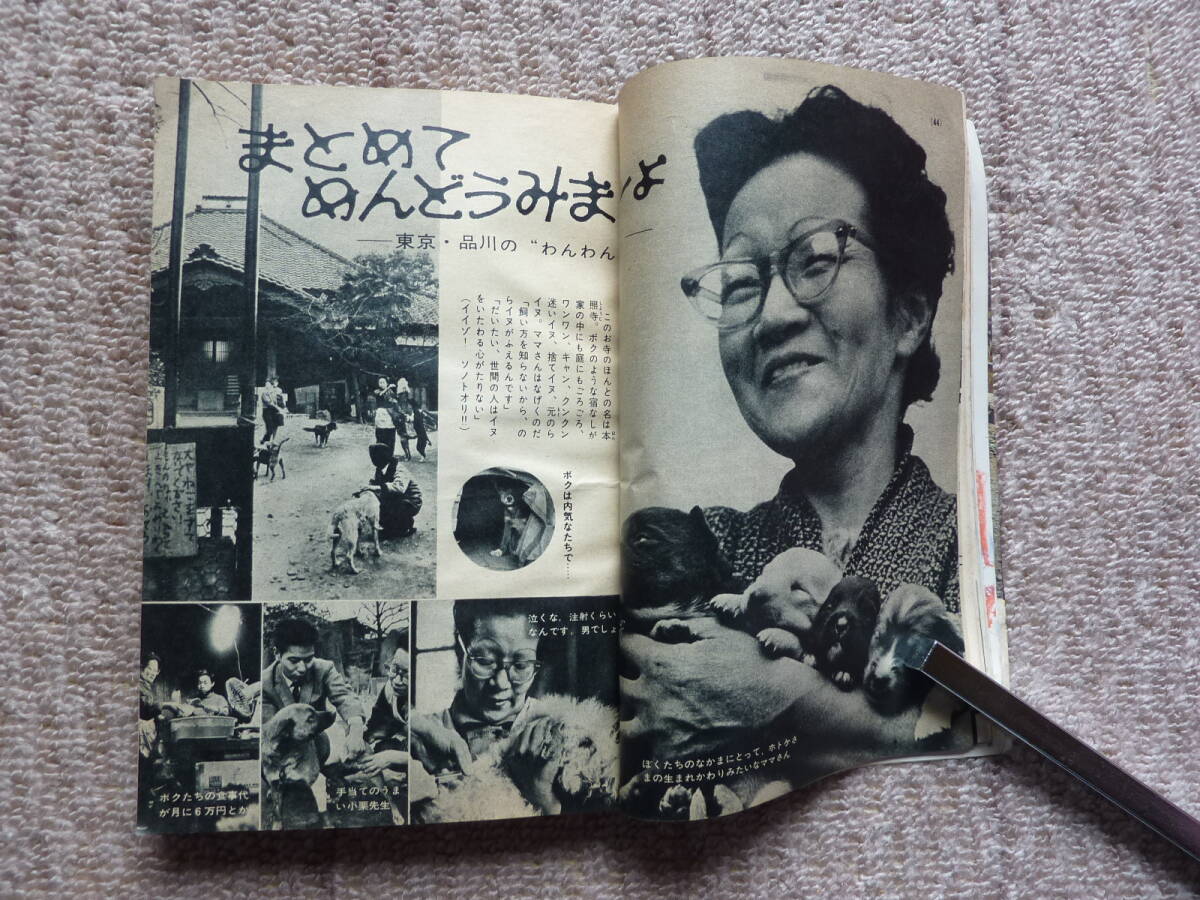 昭和４０年　中学一年コース　学研　学習　教育雑誌　古本　史料　クラスの人気もの　地球を揺るがした大事件のかげに　海を渡る友情　勉強_画像9