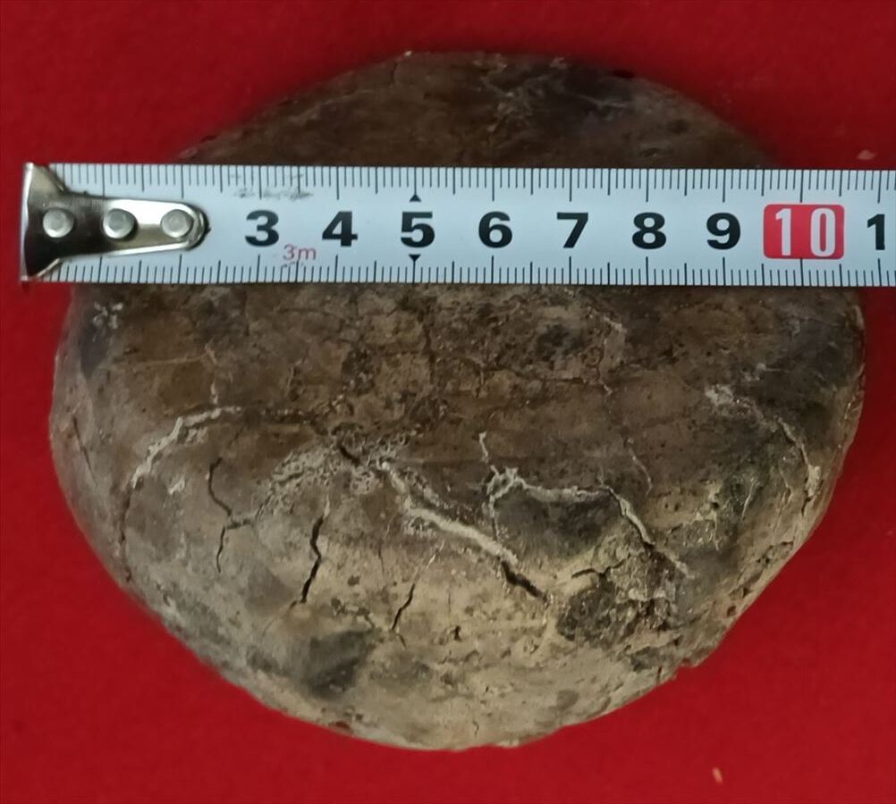  персик гора времена старый Iga старый Shigaraki .. чайная посуда старый магазин времена коробка персик гора чай .