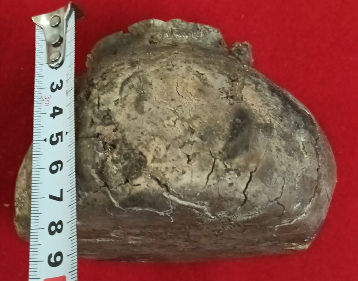  персик гора времена старый Iga старый Shigaraki .. чайная посуда старый магазин времена коробка персик гора чай .