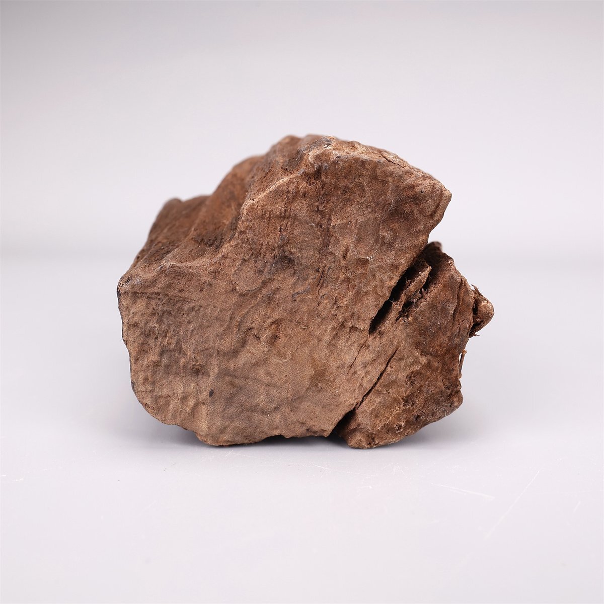 【吉】MB782 唐物 【老山白檀】 白檀香木 高13㎝ 重208g／時代物！_画像10