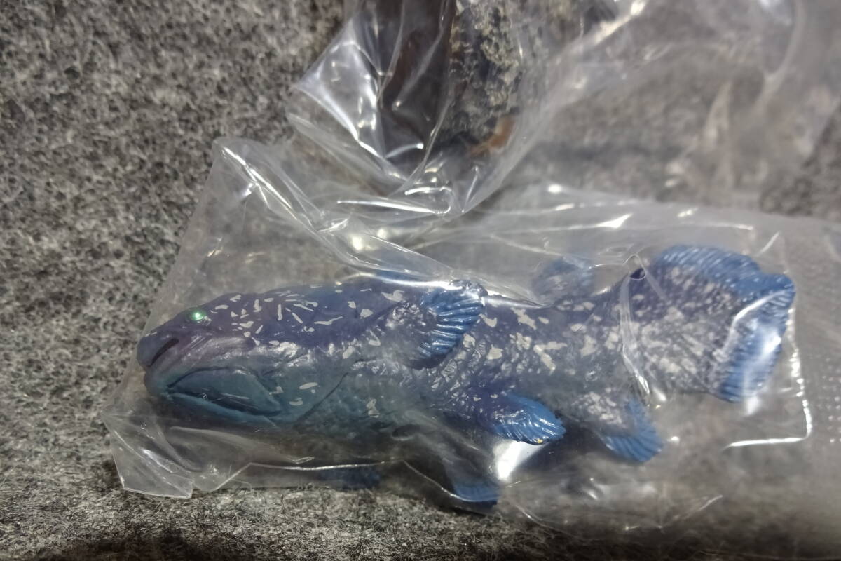 i кимоно большой иллюстрированная книга Mini коллекция старый плата рыба si-la can s