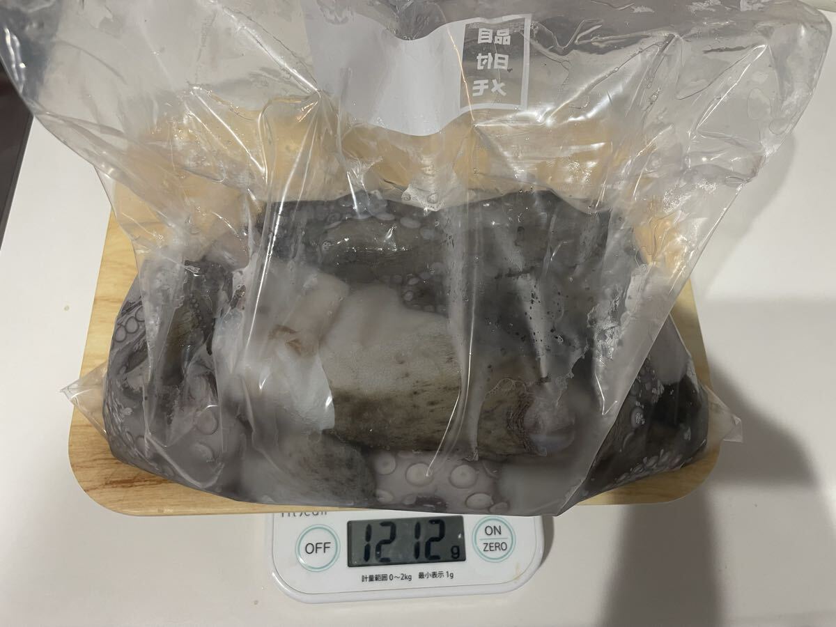 江戸前マダコ9匹2950g 10/18 採取、処理、冷凍_画像3