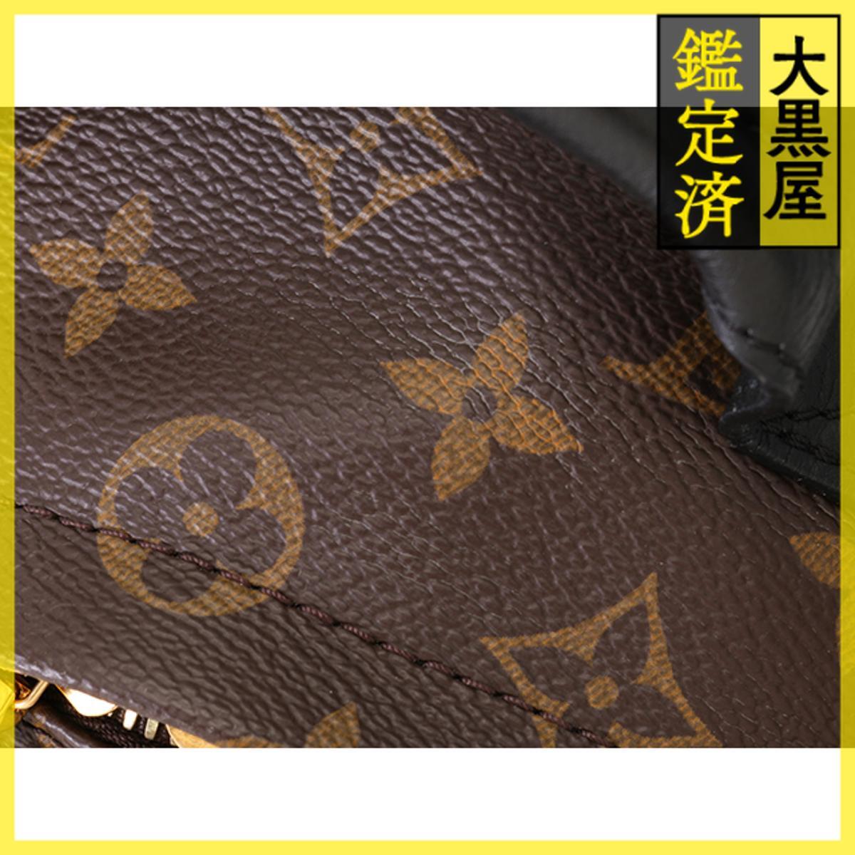 LOUIS VUITTON ルイ・ヴィトン パームスプリングス・バックパックPM モノグラム レディース 中古B M41560_画像5