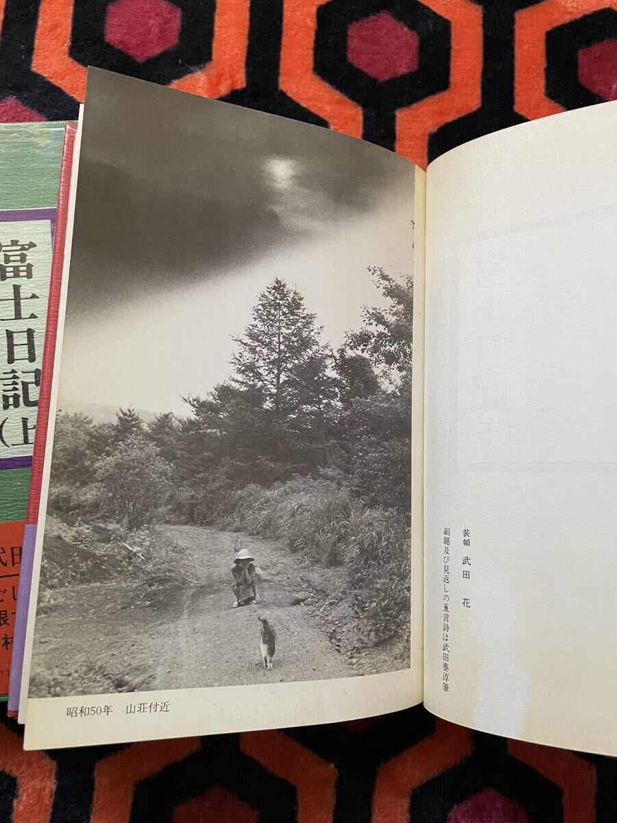 武田百合子「富士日記 上下 セット」 両初版 帯付き ビニカバ付き 帯文:埴谷雄高 島尾敏雄 中央公論社 _画像9