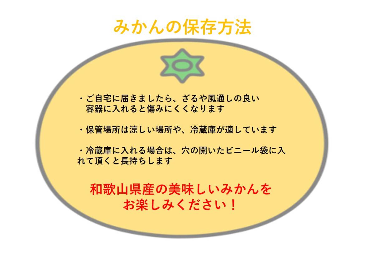 訳あり 極早生みかん 和歌山県産 ご家庭用 箱込 5kg_画像2