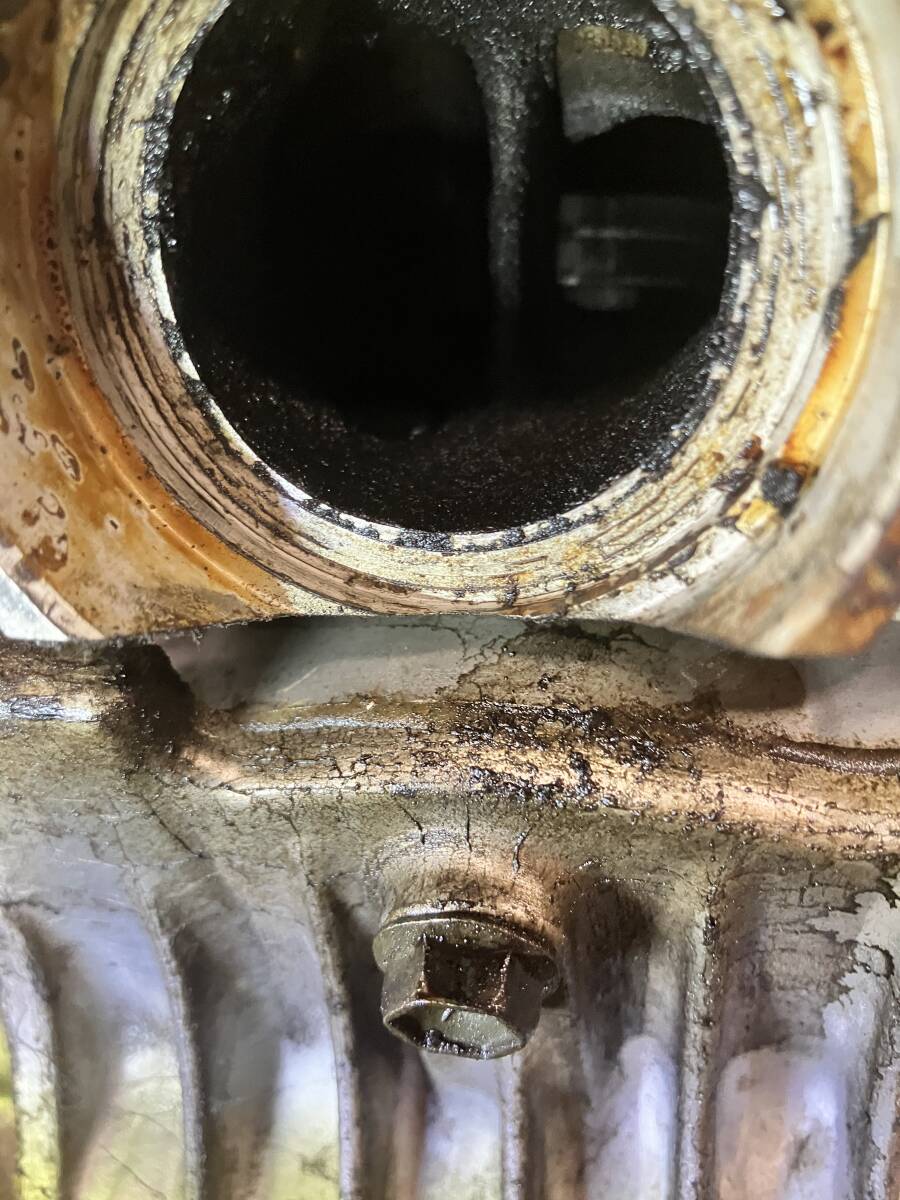 RGV250γ エンジン_画像3
