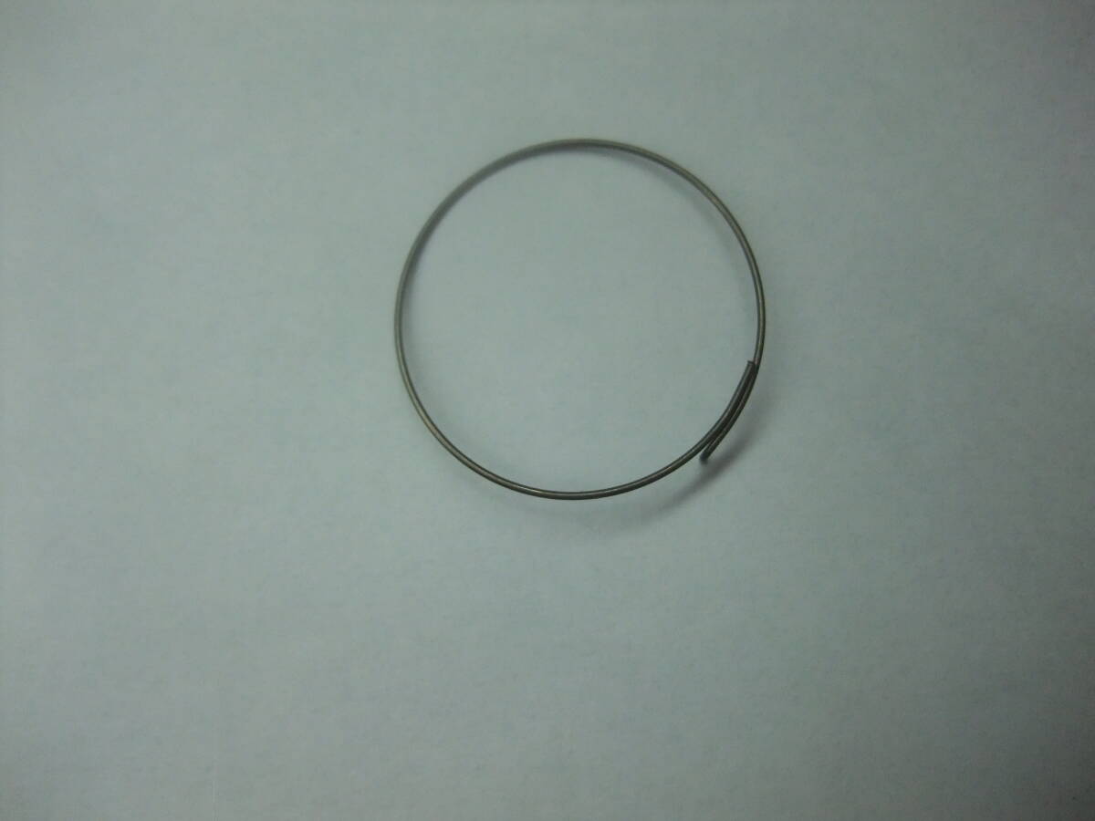 フルクラム FULCRUM 5-RM0 フリーボディラチェットスプリング MTB用　１個_画像1