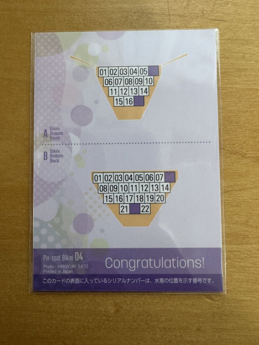  Takasaki ... булавка спот бикини карта 