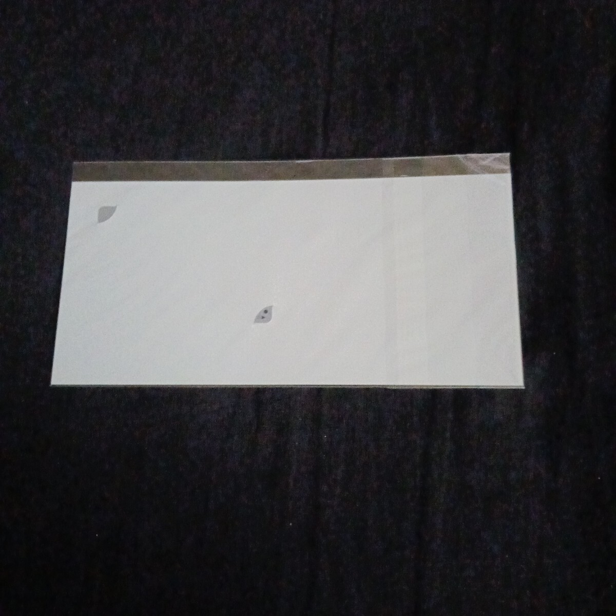 QUOカードフランス競馬の第100回凱旋門賞　優勝馬トルカータータッソ５００円分未使用_画像3