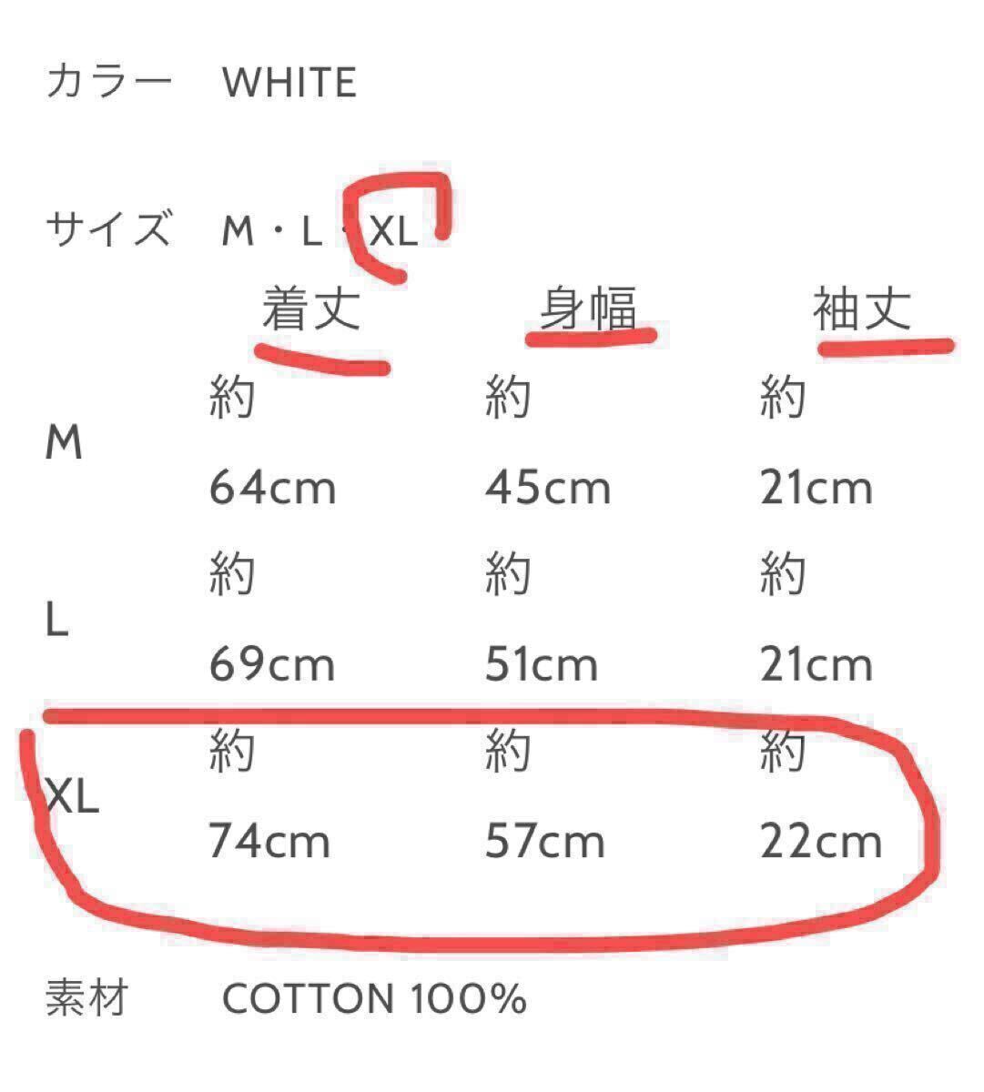 米津玄師 31-2★'17 Fogbound★海賊版Tシャツ一★XLサイズ★非売品オマケ付き★グッズ 未開封 Tシャツ バンド バンT_画像6