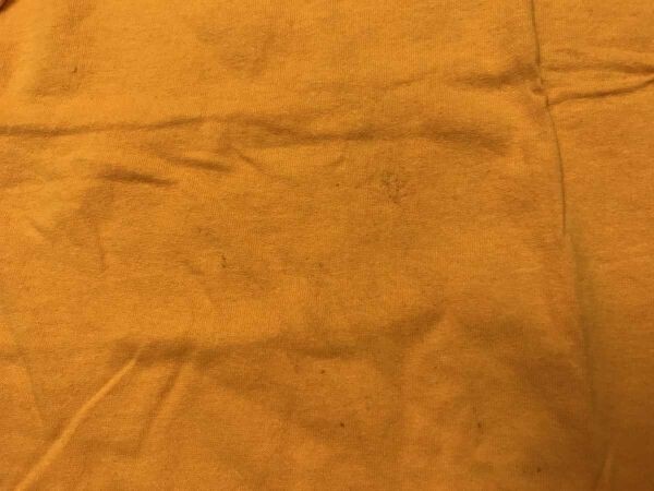 PACIFIC OCEAN BLUE パシフィックオーシャンブルー スーベニア サーフ アンビル anvil 半袖Tシャツ カットソー バックプリント有 YOUTH L_画像7