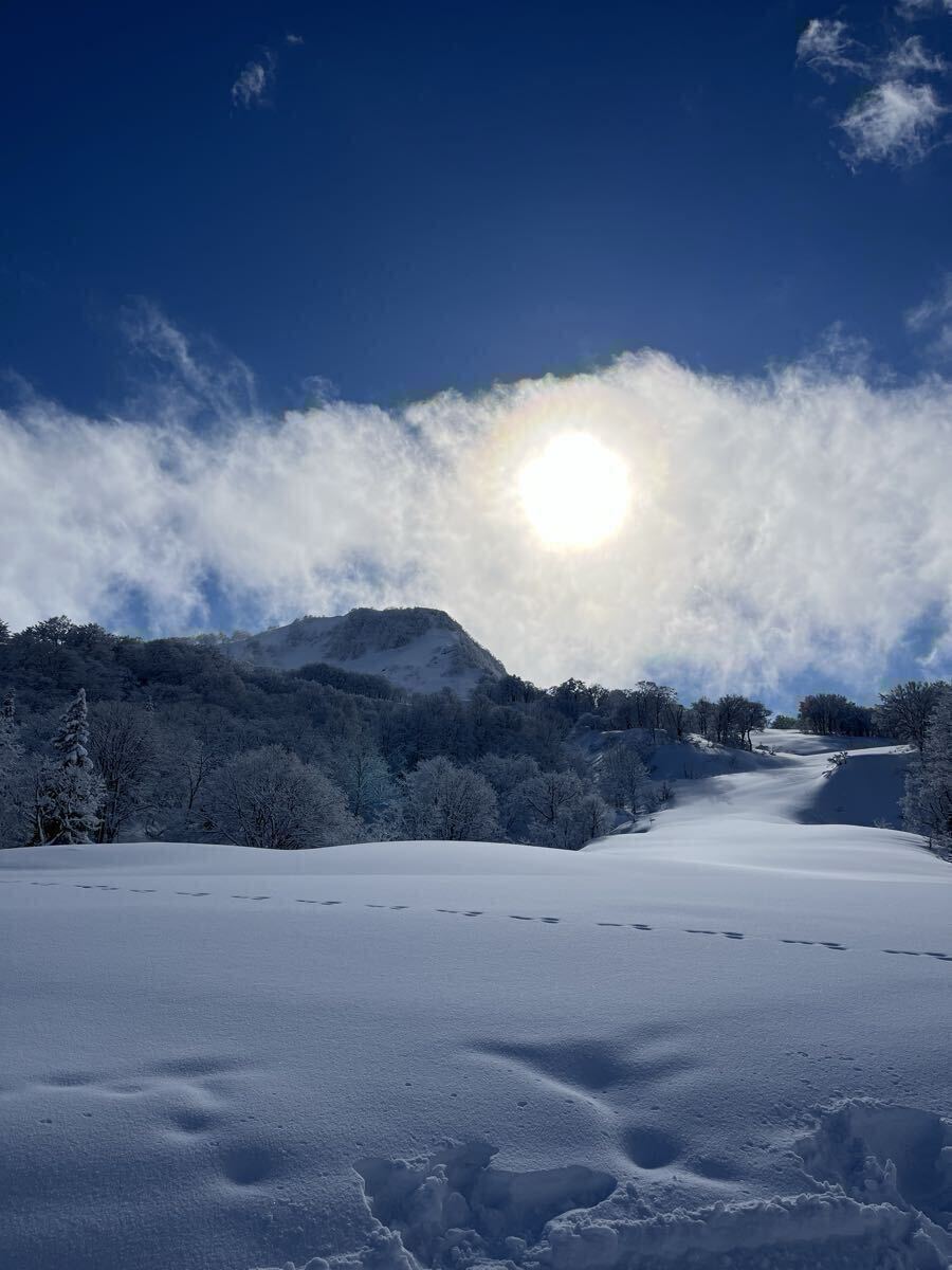 評価制限なし 入札制限なし 画像データ 評価回復100の画像1