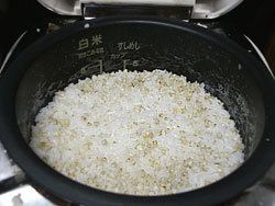 【新そば】そばの実450g(北海道産蕎麦の実)抜き蕎麦 むきそば(国産ソバの実)ヌキ実 つぶそば 実そば 粒蕎麦【メール便対応】_画像8