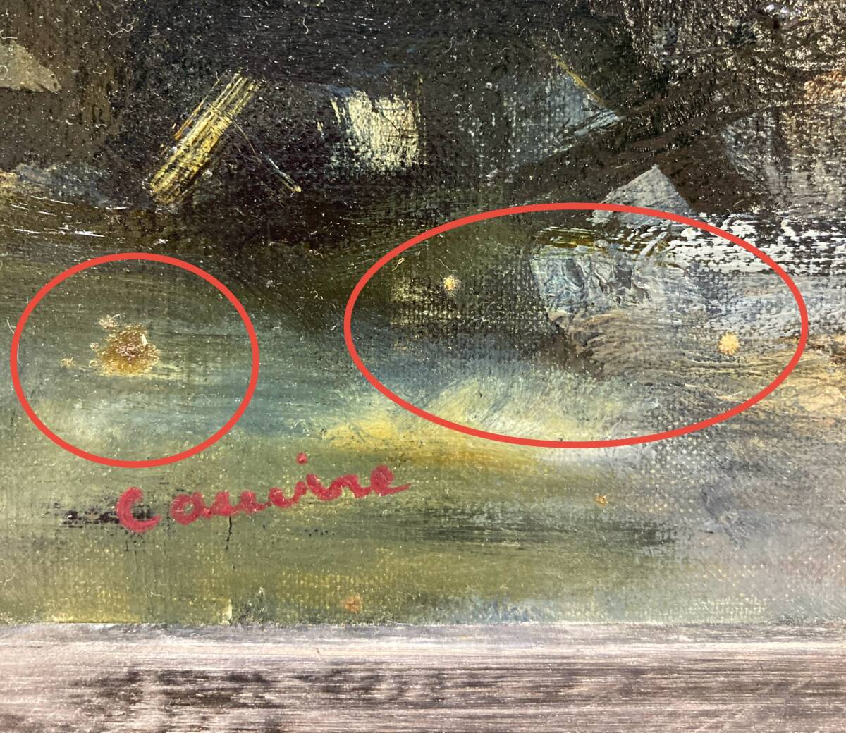 藤崎孝敏「鳥」キャンバスに油彩　F3号　孤高の油彩画家　ガラス・アクリル板無し　　額装　真作保証_画像8