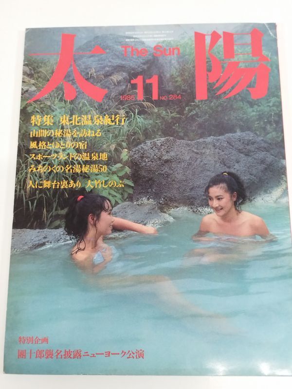 459-D9/太陽 1985.11月号/東北温泉旅行 山間の秘湯を訪ねる 風格とゆとりの宿_画像1