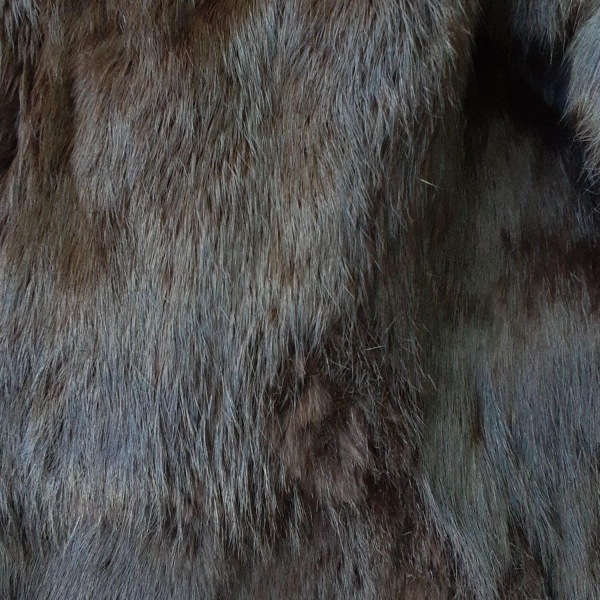 セオリー theory サイズ2 S - ダークブラウン レディース 長袖/ファー/冬 美品 コート_画像8